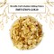 Metallic Foil Schabin Gilding Flakes, Imitation Gold 10 Gram Bottle - Metal Leaf Foil Flakes for Resin, Nails, Crafts, Painting, Jewelry, Slime, Arts and Crafts
